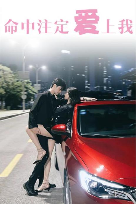 命中注定爱上我